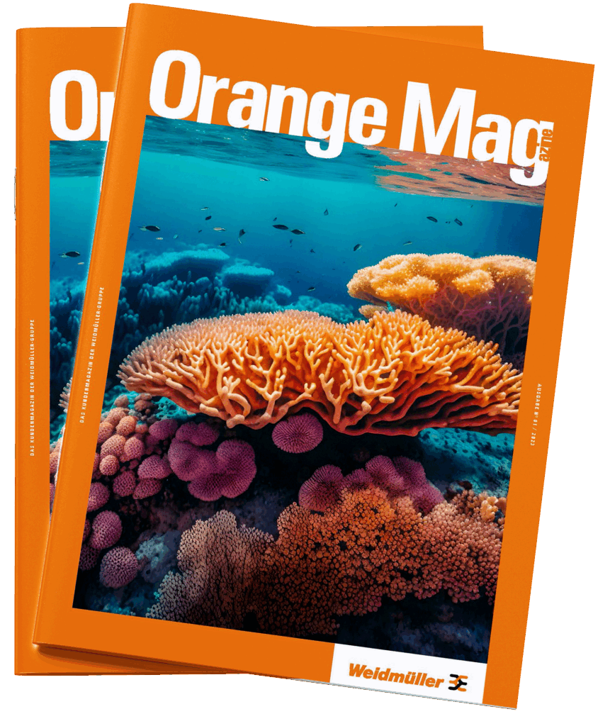 Cover des Kundenmagazins mit großflächigem Korallenfoto als visuelles Leitthema