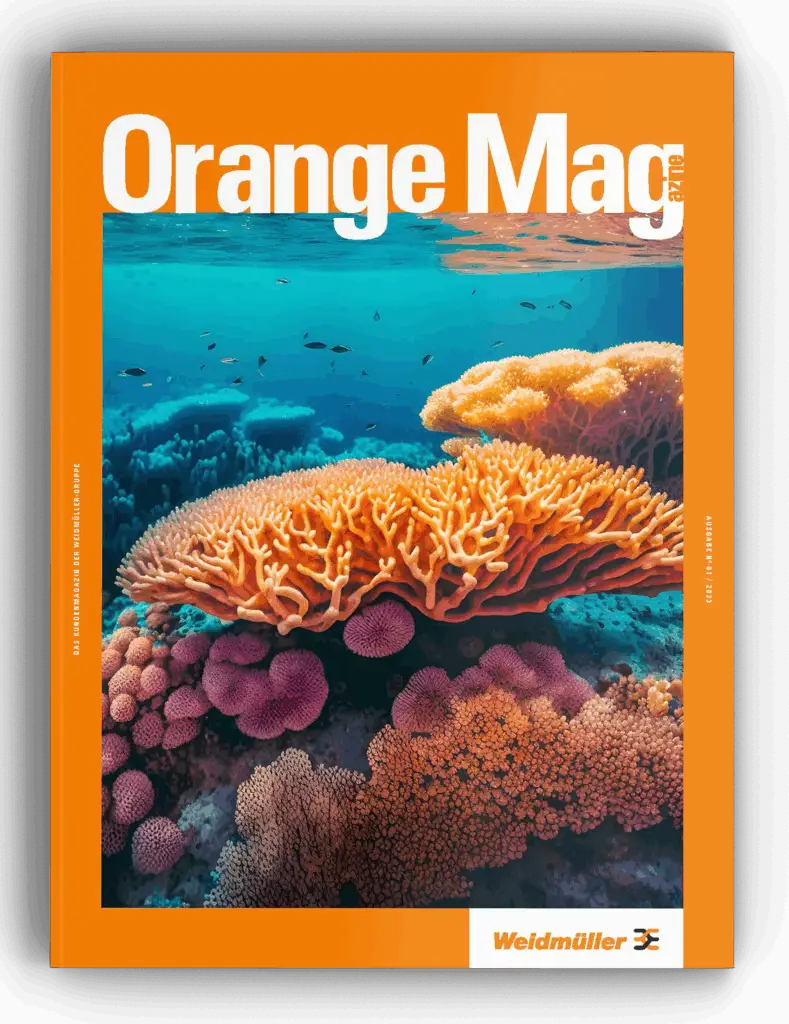 Layout des Kundenmagazins – Cover-Mockup gestaltet von Mareike Pennig