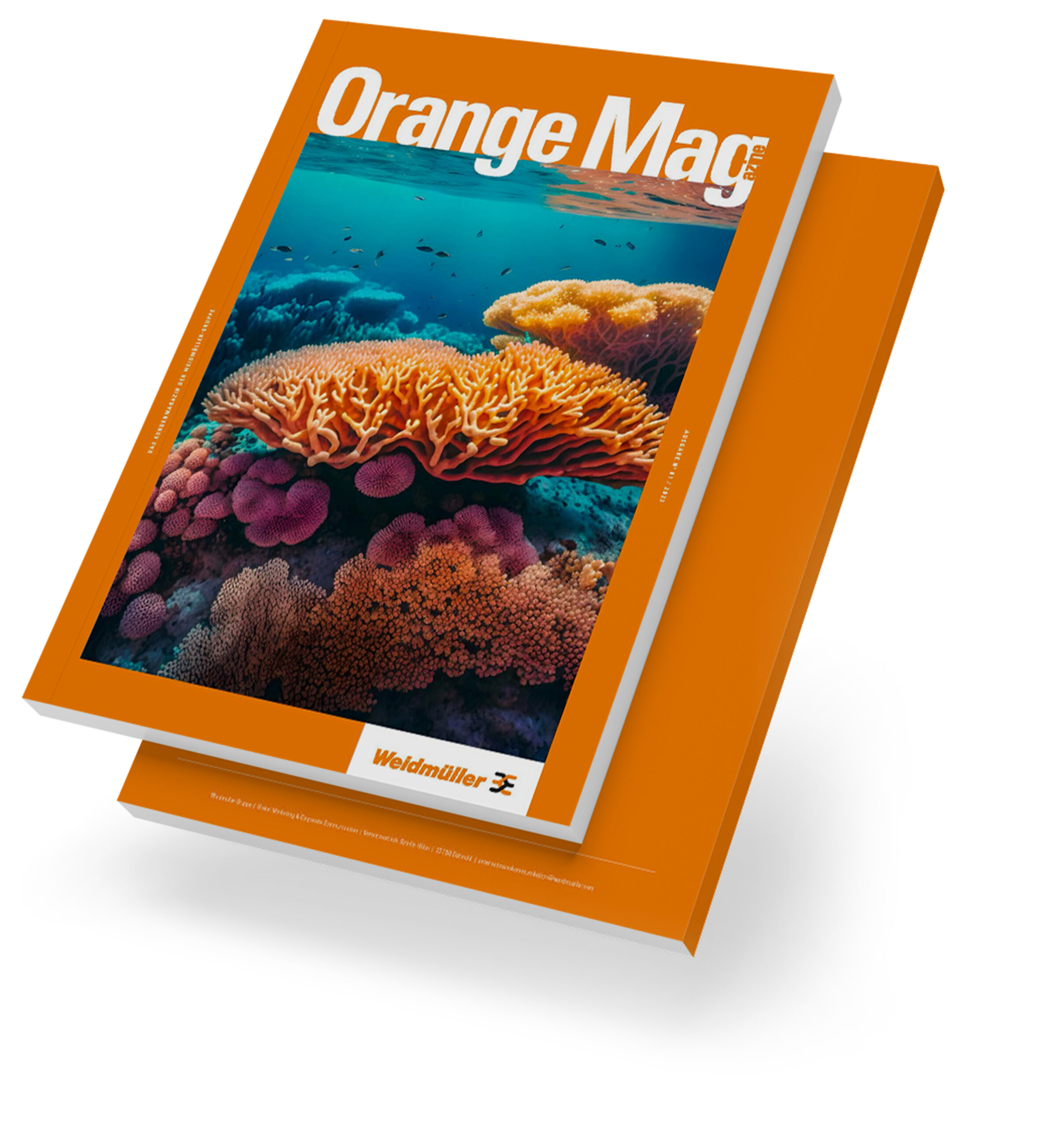 Cover des Kundenmagazins mit großflächigem Korallenfoto als visuelles Leitthema