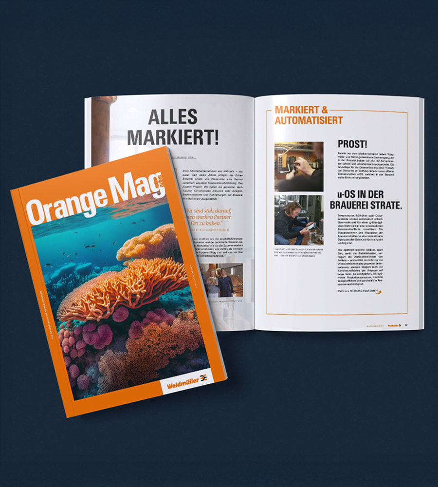 Mockup eines Kundenmagazins im Corporate Design – Coverseite und geöffnete Doppelseite mit individuellem Layout und Markenfarben