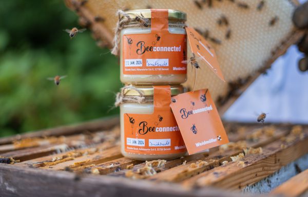 Entwicklung einer Honigverpackung bestehend aus Aufkleber und Etikett